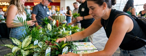 Plant Bingo Expands in Las Vegas With Larger Venue and Prizes Vegas Report © vegas-report.com
